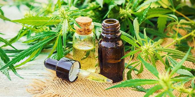 Want to Use a Natural Antistress? Here’s What You Should Know! Advantages of Oil CBD